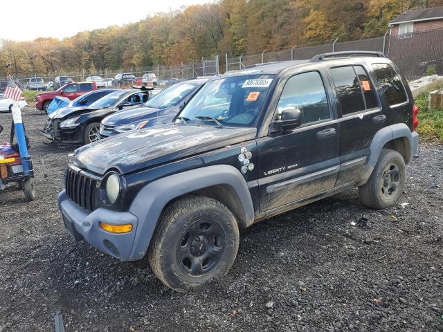 JEEP LIBERTY SP 2003 with VIN 1J4GL48K53W678435 - Photo from auction