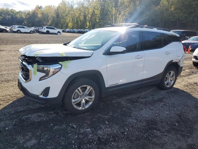 GMC TERRAIN SL 2020 with VIN 3GKALTEV1LL151877 - Photo from auction