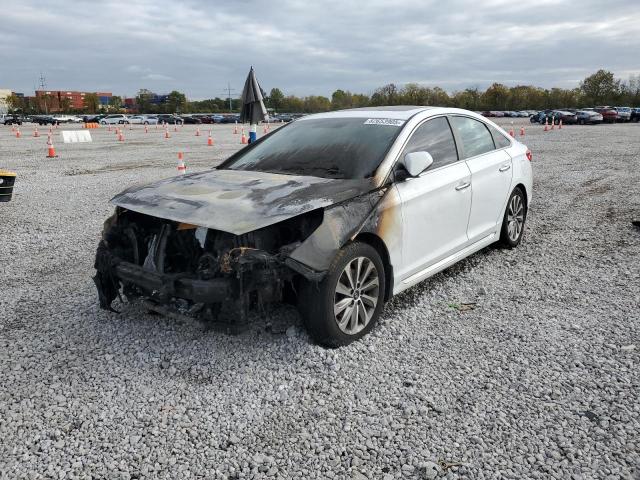 HYUNDAI SONATA SPO 2017 with VIN 5NPE34AF2HH502143 - Photo from auction