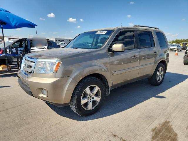 HONDA PILOT EXL 2009 with VIN 5FNYF38529B012507 - Photo from auction