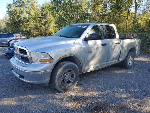 DODGE RAM 1500 2009 with VIN 1D3HV18P29S714443 - Photo from auction