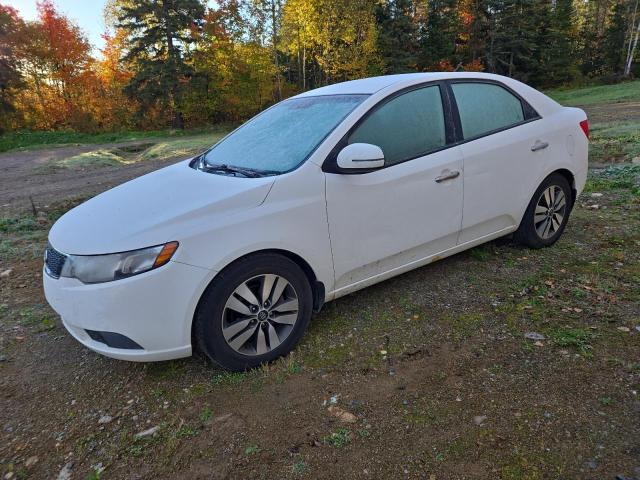 KIA FORTE EX 2013 with VIN KNAFU4A27D5733450 - Photo from auction