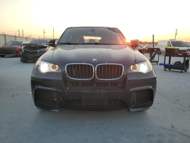 Photo 5 from auction – 2010 BMW X5 M with VIN 5YMGY0C54ALK25902