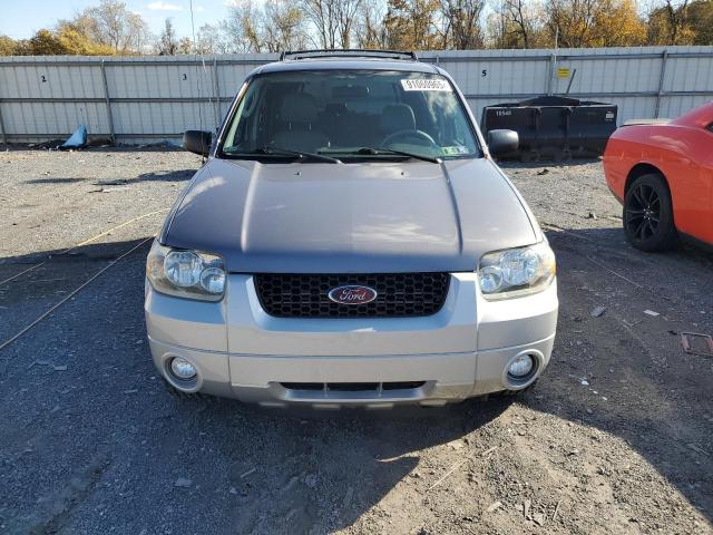 Photo 5 from auction – 2007 FORD ESCAPE XLT with VIN 1FMYU93187KA74972
