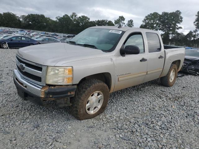 CHEVROLET SILVERADO C1500 2009 with VIN 3GCEC13C39G116858 - Photo from auction
