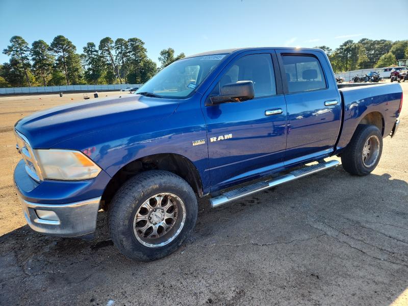 DODGE RAM 1500 2009 with VIN 1D3HV13T69S744162 - Photo from auction