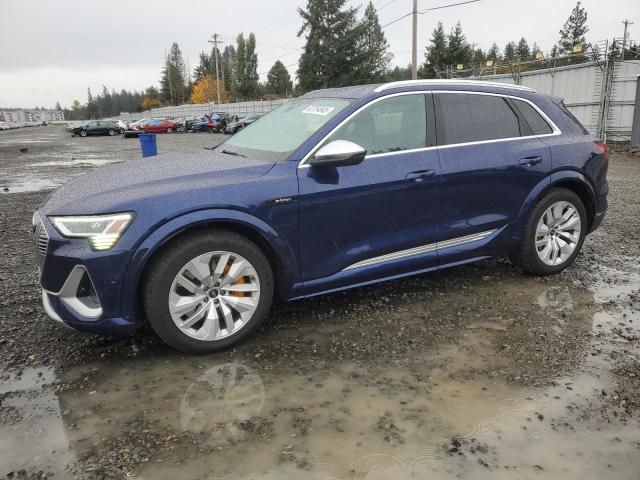 2022 AUDI E-TRON S P
