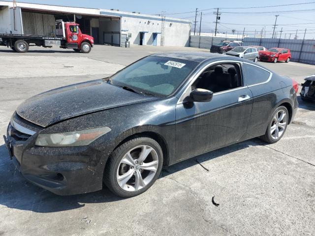 HONDA ACCORD EXL 2011 with VIN 1HGCS2B86BA005613 - Photo from auction