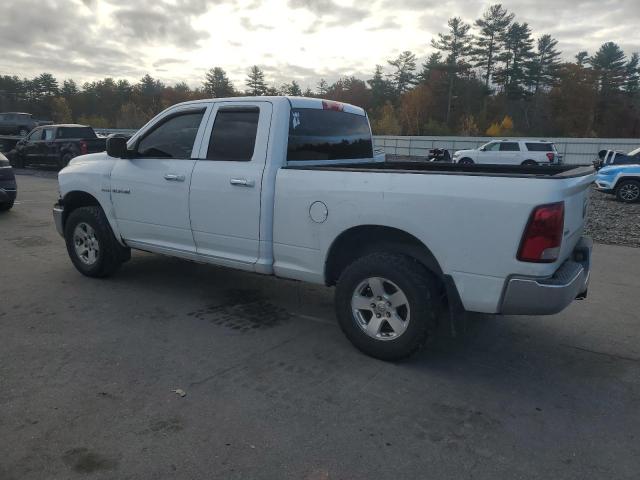 Photo 2 from auction – 2010 DODGE RAM 1500 with VIN 1D7RV1GTXAS135870