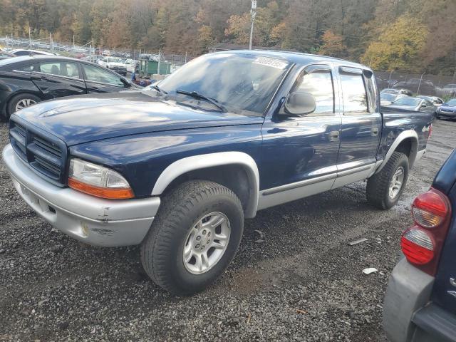 DODGE DAKOTA QUA 2004 with VIN 1D7HG48N24S622721 - Photo from auction