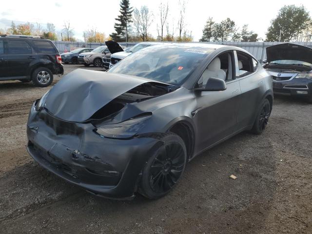 TESLA MODEL Y 2021 with VIN 5YJYGDED8MF124655 - Photo from auction