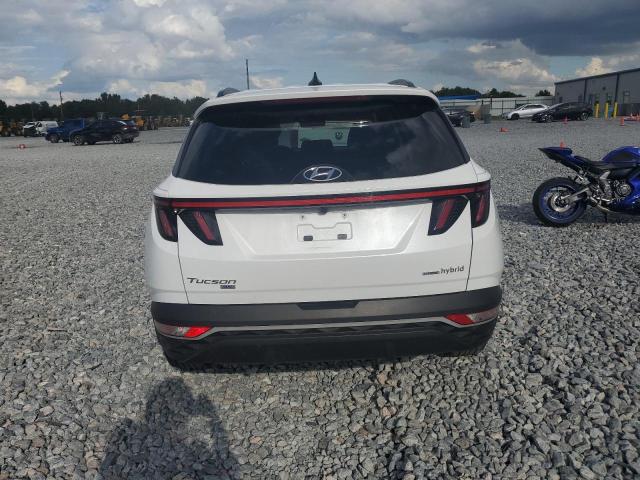 Photo 6 from auction – 2023 HYUNDAI TUCSON BLU with VIN KM8JBCA15PU087545