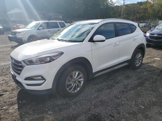 HYUNDAI TUCSON LIM 2017 with VIN KM8J3CA42HU569642 - Photo from auction
