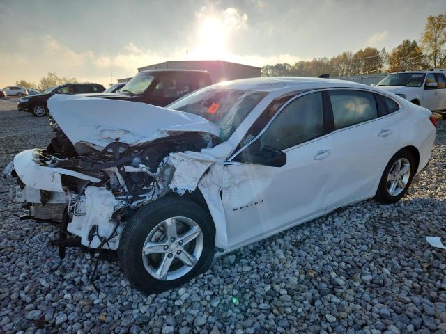 CHEVROLET MALIBU LS 2024 with VIN 1G1ZC5ST4RF201387 - Photo from auction