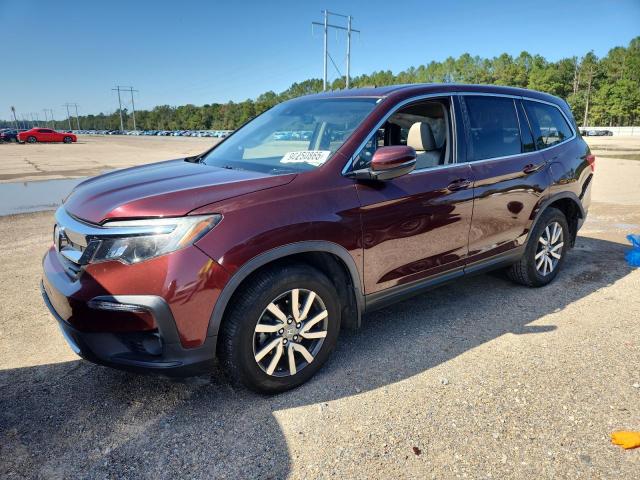 HONDA PILOT EXL 2020 with VIN 5FNYF5H59LB009316 - Photo from auction