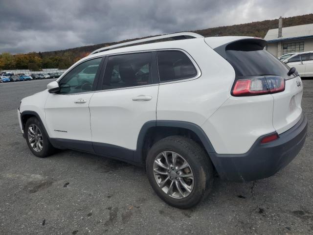 Photo 2 from auction – 2020 JEEP CHEROKEE L with VIN 1C4PJLLB6LD614557