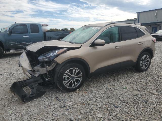 FORD ESCAPE SEL 2021 with VIN 1FMCU9H91MUB11255 - Photo from auction