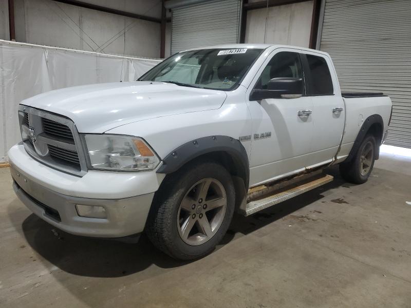 DODGE RAM 1500 2010 with VIN 1D7RV1GT2AS136687 - Photo from auction