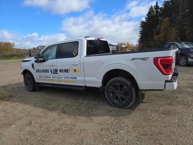 Photo 2 from auction – 2023 FORD F150 with VIN 1FTFW1E54PFB73532