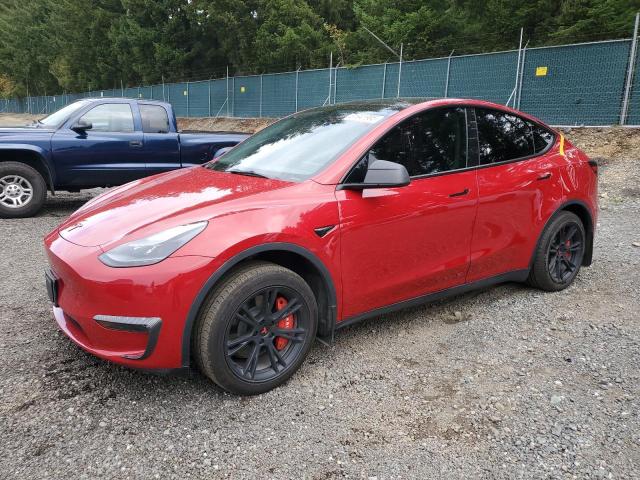 TESLA MODEL Y 2023 with VIN 7SAYGDEE3PF692215 - Photo from auction