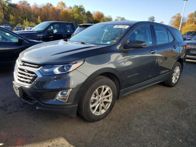 CHEVROLET EQUINOX LS 2019 with VIN 2GNAXHEV7K6225181 - Photo from auction