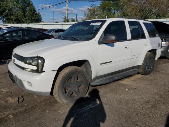 CHEVROLET TRAILBLAZE 2003 with VIN 1GNDT13S532242052 - Photo from auction