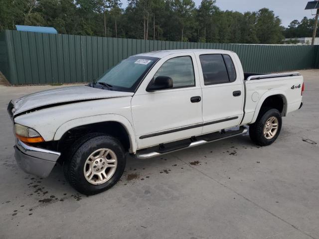 DODGE DAKOTA QUA 2004 with VIN 1D7HG48N74S762117 - Photo from auction