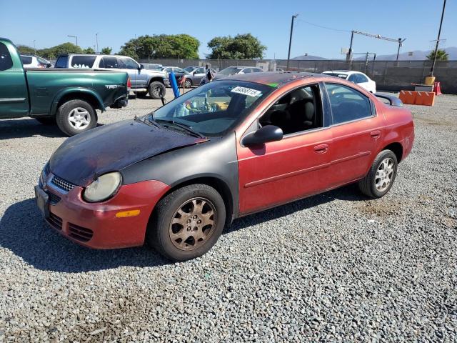 DODGE NEON SXT 2004 with VIN 1B3ES56C14D505687 - Photo from auction