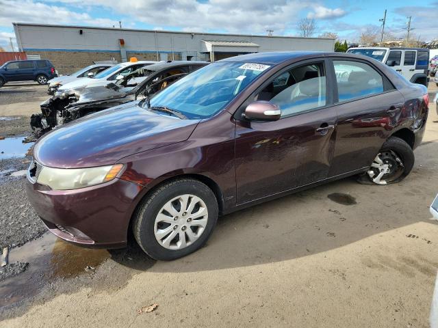 KIA FORTE EX 2010 with VIN KNAFU4A27A5192637 - Photo from auction