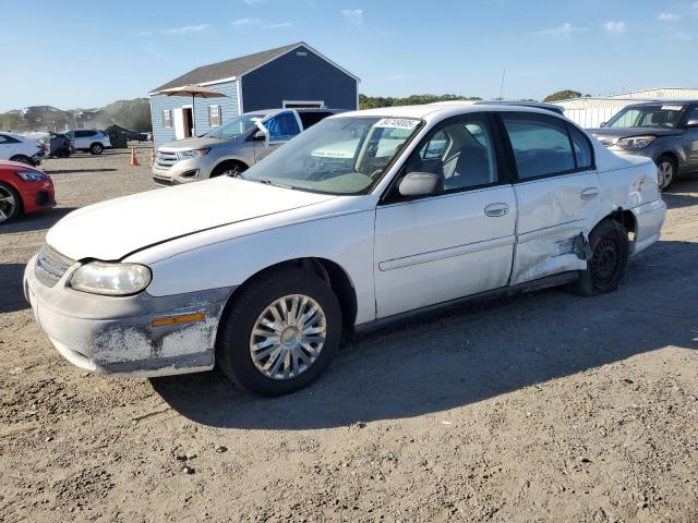 CHEVROLET MALIBU 2005 with VIN 1G1ND52F85M200304 - Photo from auction