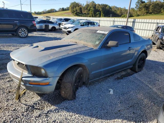 Photo 1 from auction – 2007 FORD MUSTANG with VIN 1ZVFT80N375296346