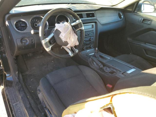 Photo 8 from auction – 2014 FORD MUSTANG with VIN 1ZVBP8AM4E5219023