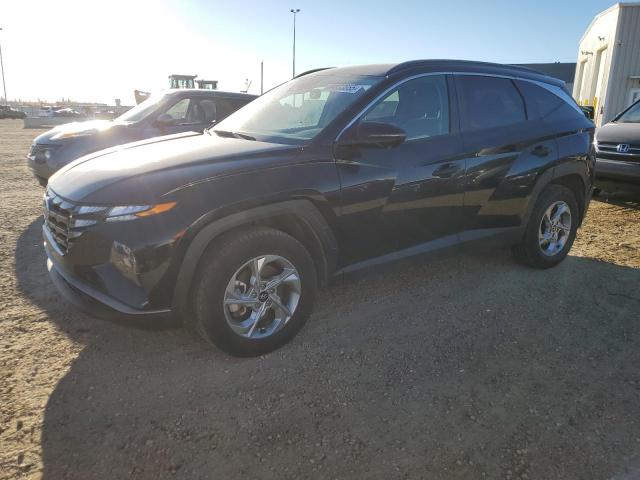 HYUNDAI TUCSON SEL 2022 with VIN KM8JBCAE8NU149956 - Photo from auction