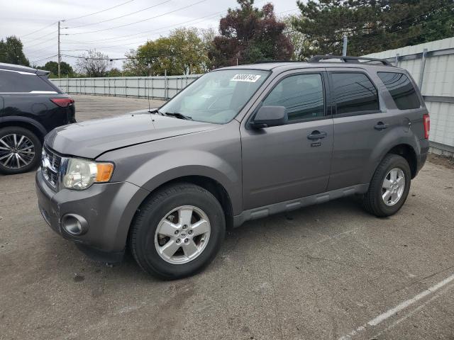 FORD ESCAPE XLT 2009 with VIN 1FMCU93G09KA85823 - Photo from auction
