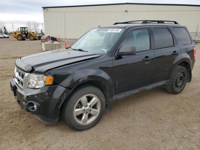 FORD ESCAPE XLT 2011 with VIN 1FMCU0DG7BKC14544 - Photo from auction