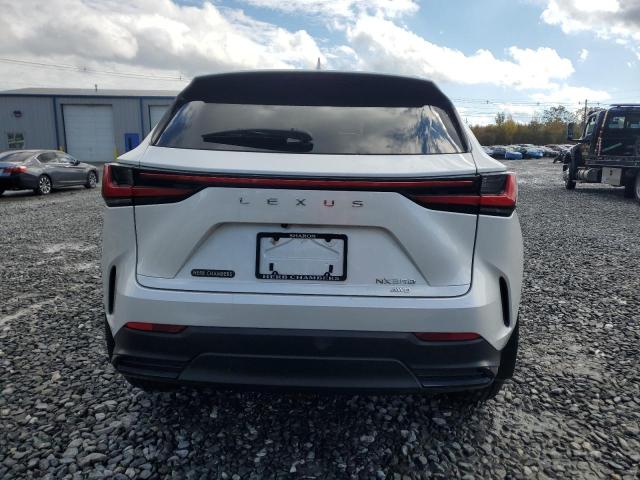 Photo 6 from auction – 2024 LEXUS NX 350 BAS with VIN 2T2AGCEZ1RC034102