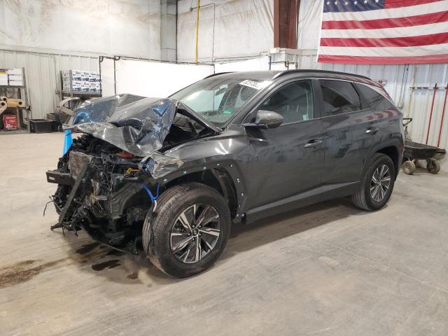 HYUNDAI TUCSON BLU 2024 with VIN KM8JBCD12RU194759 - Photo from auction