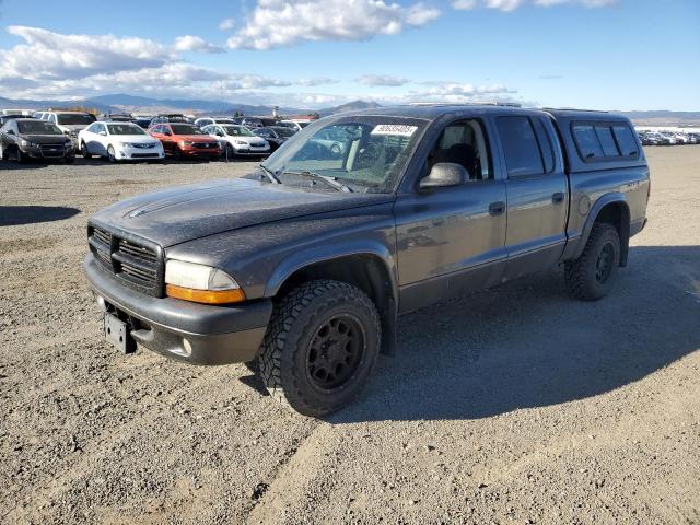 DODGE DAKOTA QUA 2004 with VIN 1D7HG38N34S689077 - Photo from auction