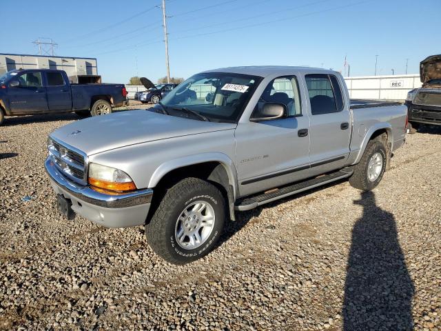 DODGE DAKOTA QUA 2002 with VIN 1B7HG48N02S564941 - Photo from auction