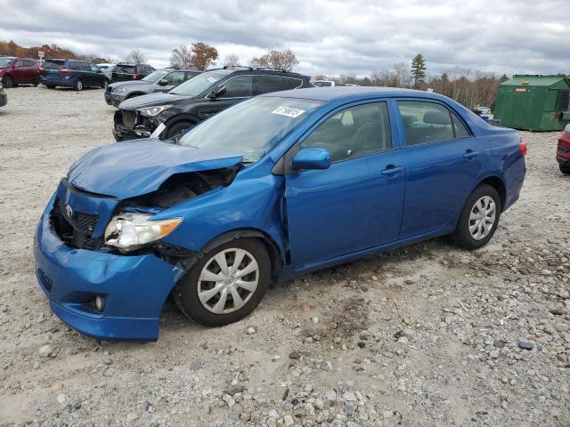 TOYOTA COROLLA BA 2009 with VIN JTDBL40E399067087 - Photo from auction