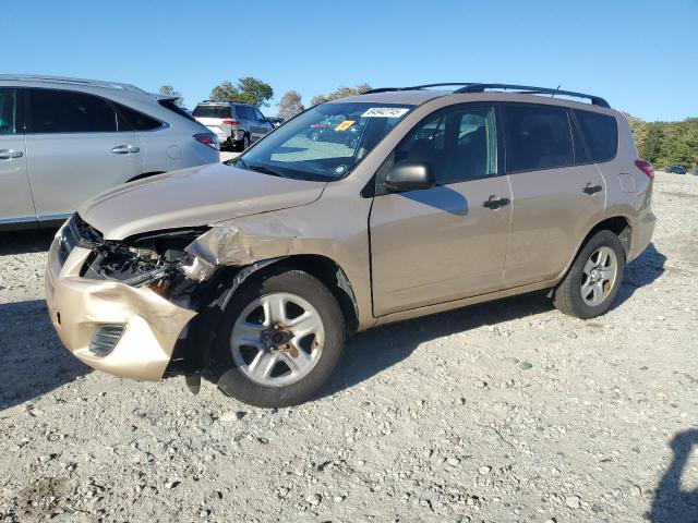 TOYOTA RAV4 2012 with VIN 2T3BF4DV4CW261605 - Photo from auction
