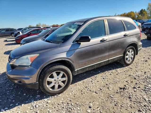 HONDA CR-V SE 2011 with VIN 5J6RE4H41BL099351 - Photo from auction