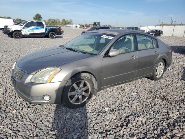 NISSAN MAXIMA SE 2004 with VIN 1N4BA41E54C857304 - Photo from auction