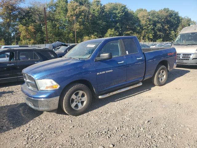 DODGE RAM 1500 2011 with VIN 1D7RV1GPXBS673246 - Photo from auction