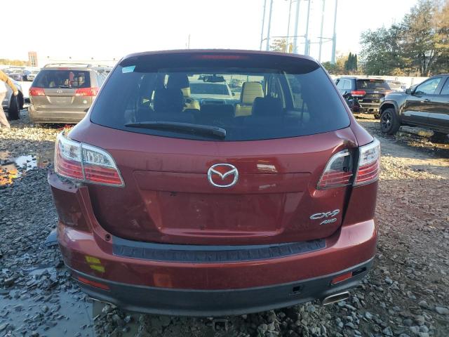 Photo 6 from auction – 2010 MAZDA CX-9 with VIN JM3TB3MV2A0212499