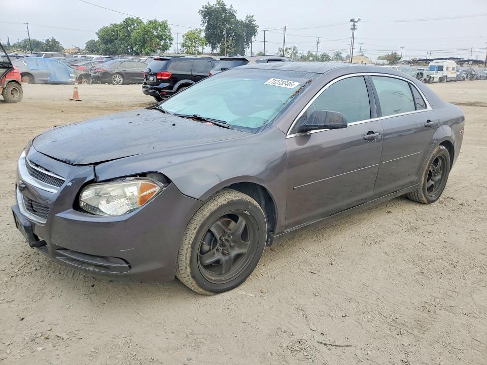 CHEVROLET MALIBU 2010 with VIN 1G1ZA5E07AF285619 - Photo from auction