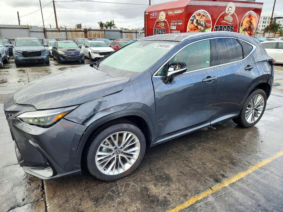 LEXUS NX 350H 2025 with VIN 2T2HKCEZ1SC047564 - Photo from auction