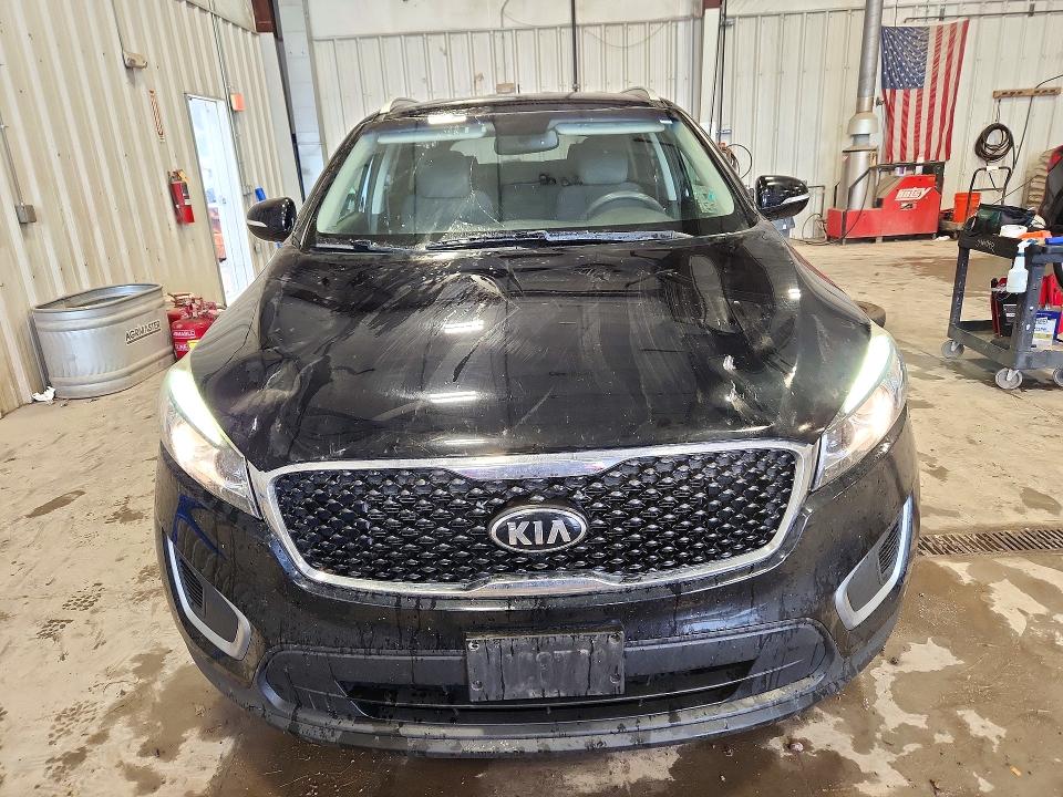 Photo 5 from auction – 2017 KIA SORENTO with VIN 5XYPGDA54HG241626