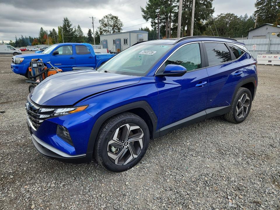 HYUNDAI TUCSON 2024 с VIN 5NMJFCDE6RH306806 - Снимка от търг