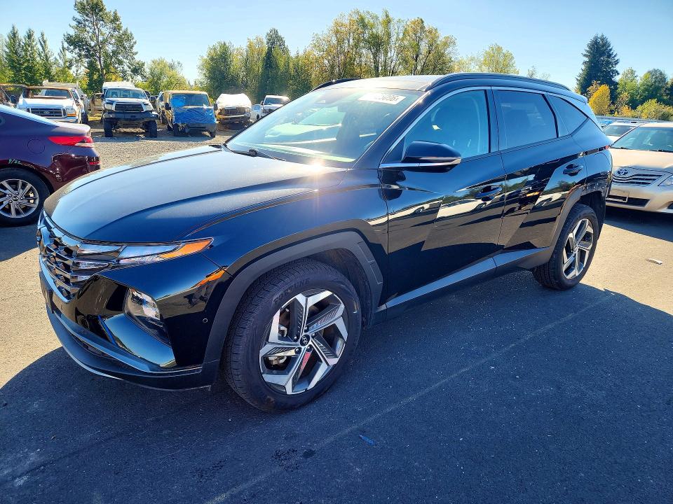 HYUNDAI TUCSON 2023 с VIN 5NMJECAE9PH236996 - Снимка от търг